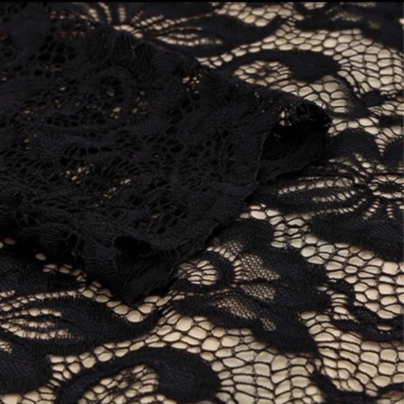 Plus Size‎ Black Long Sleeve Lace Mesh Elegant Dress. NEW. 1XL-3XL - Picture 8 of 11